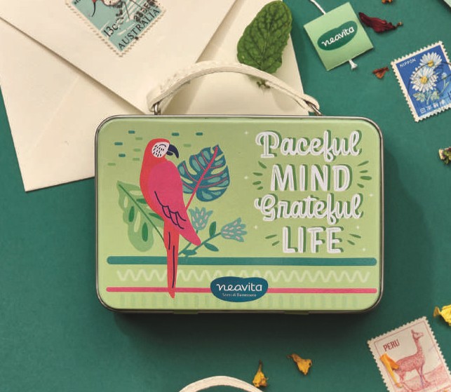 Pensieri Belli - Cofanetto Valigetta Pappagallo con 4 filtroscrigno